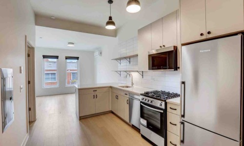 apartment countertop dishwasher in modern kitchen