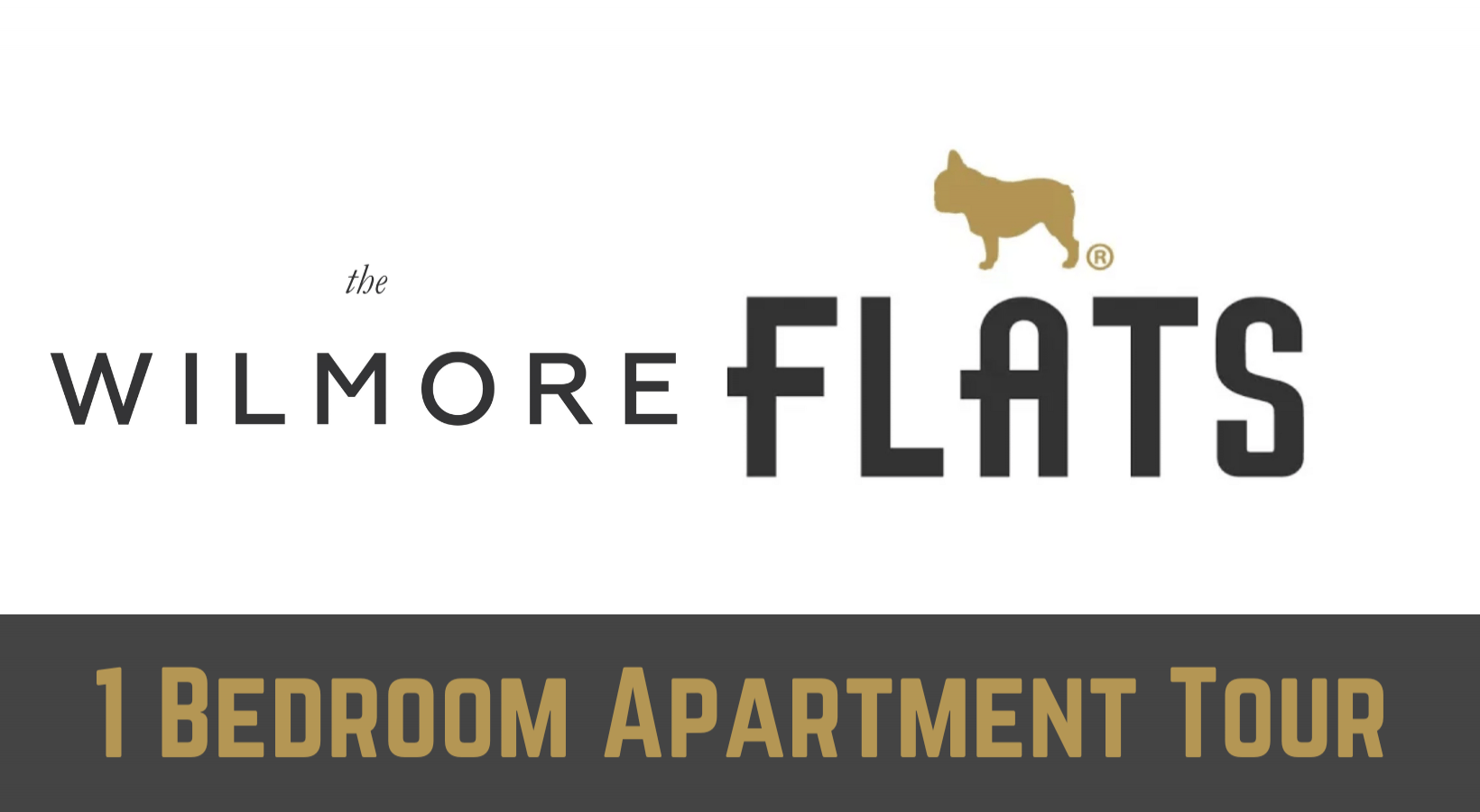 1 Bedroom Apartment in Uptown Chicago  -The Wilmore 