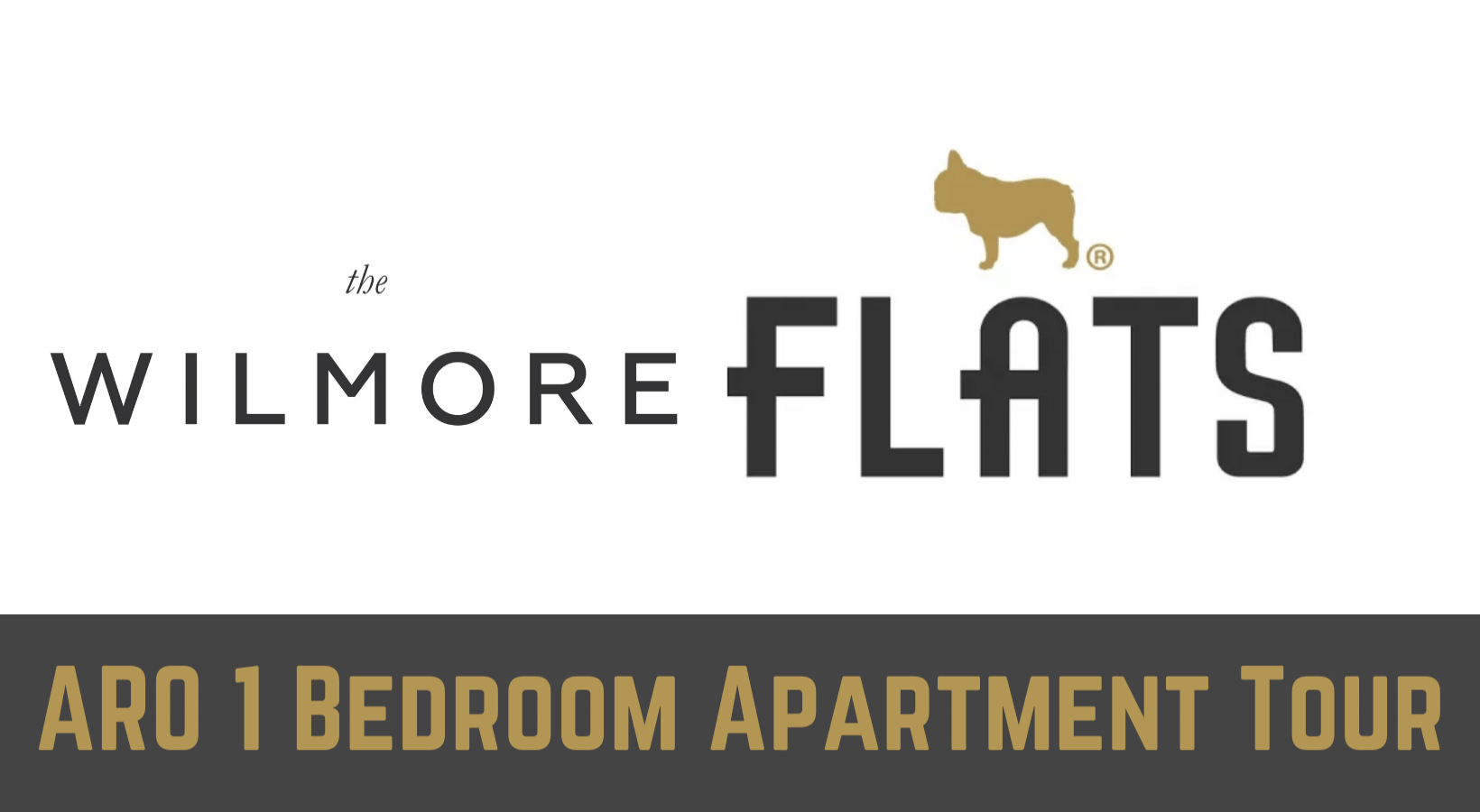 ARO 1 Bedroom Apartment in Uptown Chicago Walkthrough - The Wilmore 