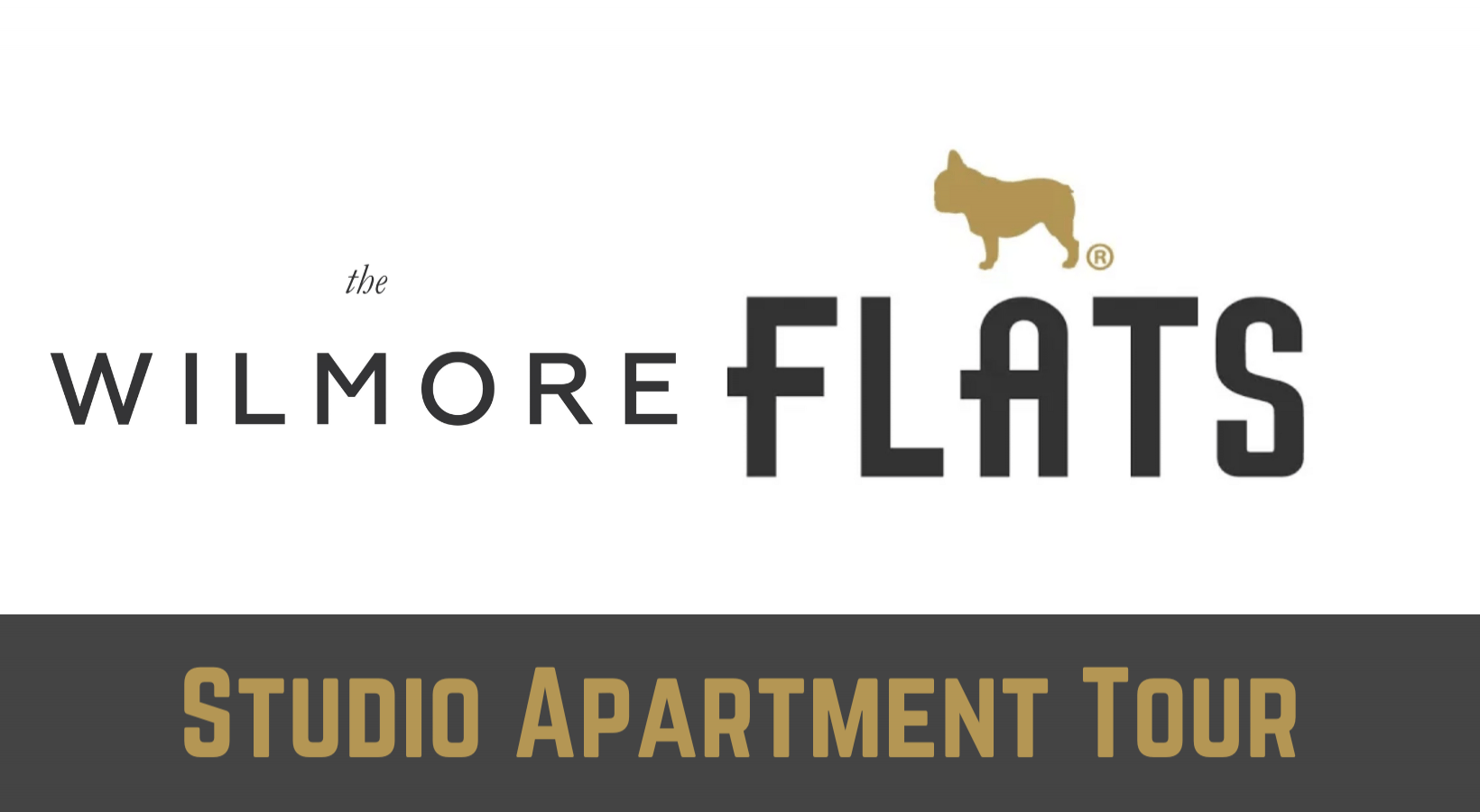 The Wilmore - Studio Apartment in Uptown Chicago 