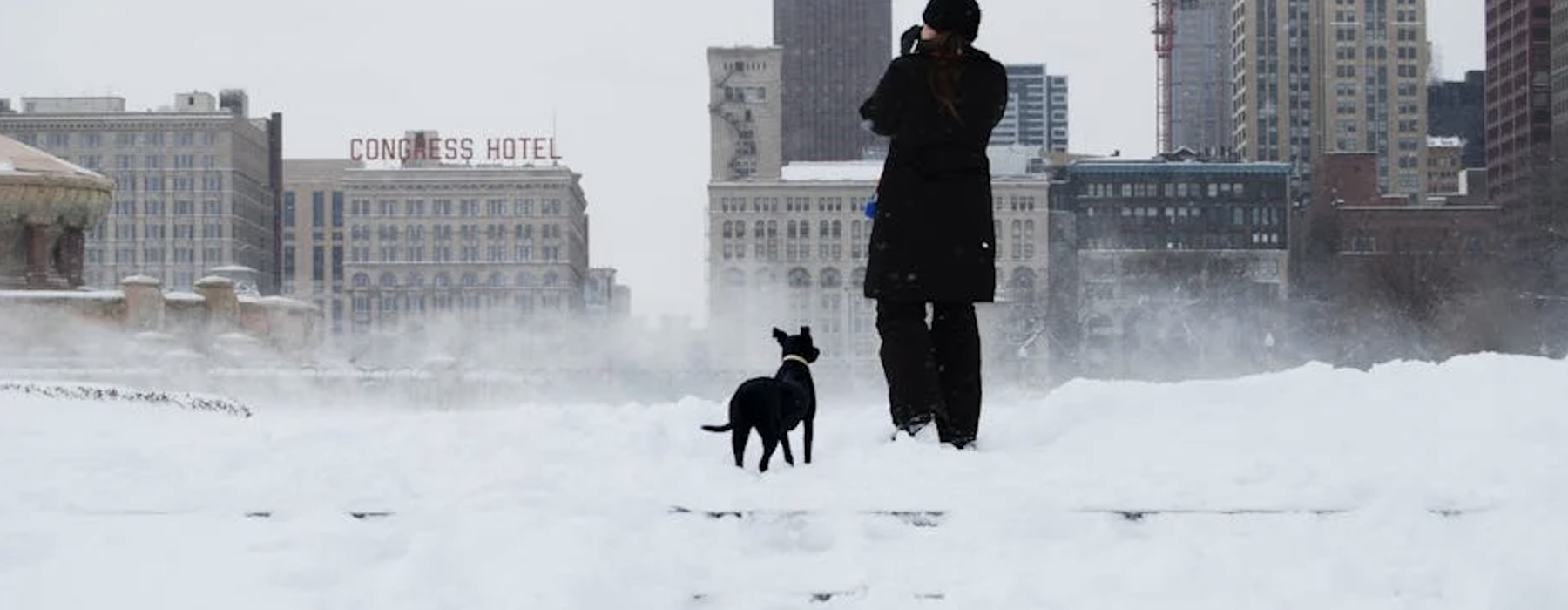 Chicago apartments with dog parks - Chicago apartments with dog parks