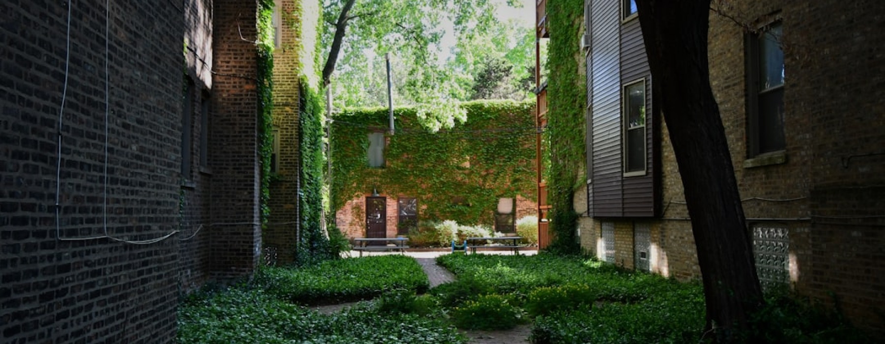 uptown chicago apartment buildings - uptown chicago apartment buildings