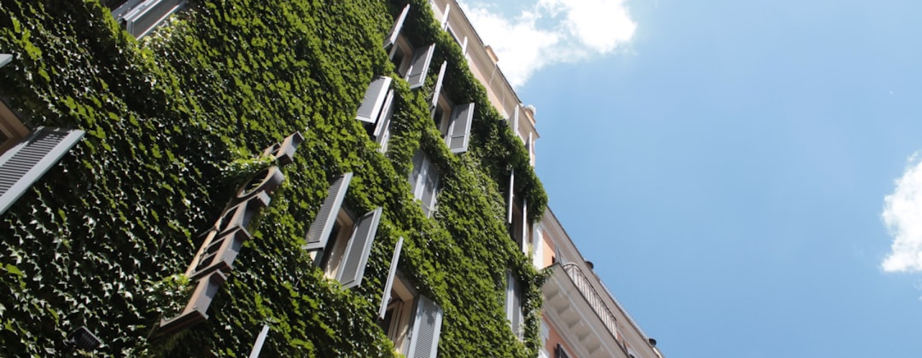 eco friendly apartments chicago - eco friendly apartments chicago